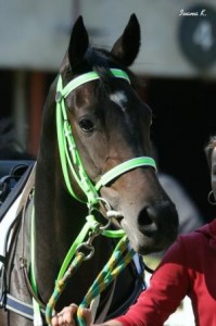 Obrazek