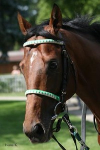 Obrazek